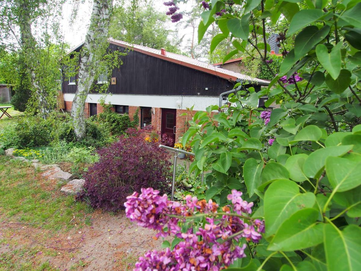 Ferienwohnung am Dümmer See Dummer Exterior foto